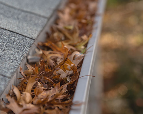 Gutter Cleaning & Brightening